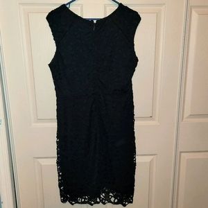 NY & Co Navy Lace Dress